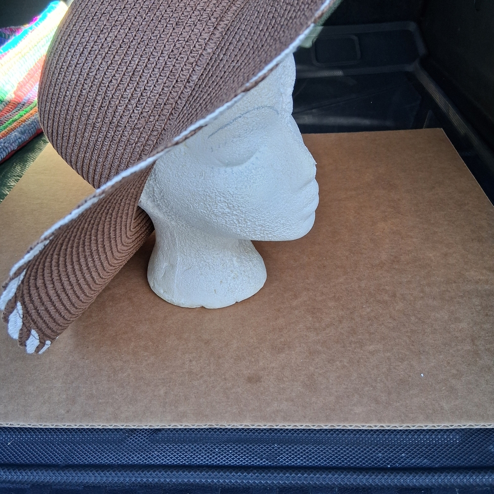 Elegant Brown Wide-Brim Hat